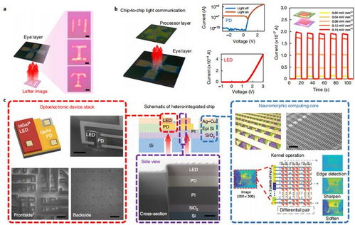 感存算一体 MIT、浙大、清华团队携手打造AI芯片新纪元，以“乐高”式堆叠引领设备按需升级
